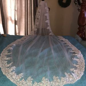 New Beautiful Xlong lace edged cathedral veil